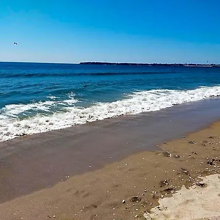 Adonis La Baule